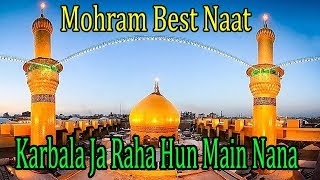 Karbala Ja Raha Hun Mai Nana  Hazrat Hussain Naat E Pak WITH LYRICS MAHFIL E ZINDAGI [upl. by Noirad]