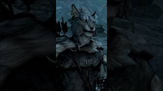 Skyrim Combat Npc🤯 elderscrolls game khajiit skyrim [upl. by Davey167]