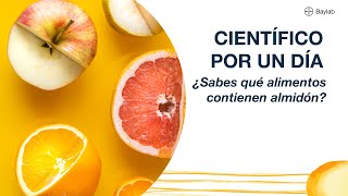 ¿Cómo identificar carbohidratos complejos como el almidón [upl. by Walczak]