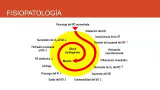 TROMBOEMBOLISMO PULMONAR cardio [upl. by Agrippina]