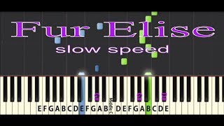 Fur Elise Tutorial Slow speed [upl. by Jemine723]