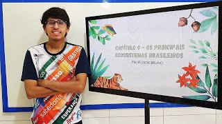 OS PRINCIPAIS ECOSSISTEMAS BRASILEIROS [upl. by Elyc]