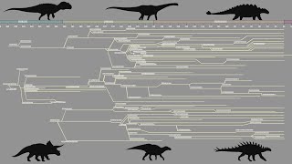 The Dinosaur Family Tree  ANIMATED [upl. by Youngran]