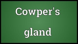 Cowpers gland Meaning [upl. by Zela]