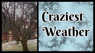 Craziest Spring Weather Ever [upl. by Gaylord]