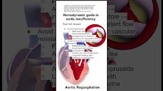 Hemodynamic goals in aortic insufficiency [upl. by Flore]