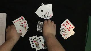 Euchre for Beginners [upl. by Nylsirhc473]