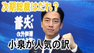 時事世論調査の総裁選の順位次期総裁ランキングはこれ [upl. by Aon]