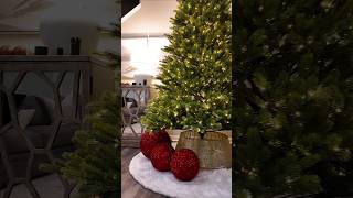 Christmas tree setup 🎄 christmas merrychristmas alliwantforchristmasisyou christmastree [upl. by Nyrol]