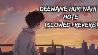 Deewane Hum Nahi Hote Slow and Reverb  Lofi  Hindi  Slow and Reverb songs Lyrical Audio [upl. by Yhtomit]