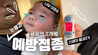 육아 VLOG  악명높은 신생아 2개월 예방접종 💉 접종열에 대처하는 방법과 병원 후기  육퇴 후 한잔하며 털어놓는 육아 고충😭 [upl. by Kcirdor]