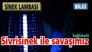 Sivrisinekleri yakalamak için en kolay yöntem  Sivri Sineklerden Nasıl Kurtulurum   Bilgi [upl. by Haissi]