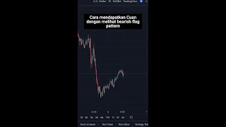 CARA ENTRY BEARISH FLAG PATTERN PART 1 [upl. by Howlend47]