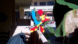 VID2012110900000 the moving bird [upl. by Derzon]