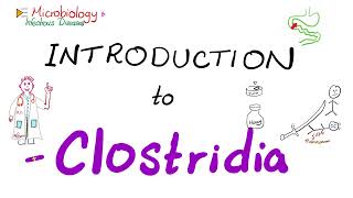 Introduction to Clostridia Clostridium tetani botulinum perfringens difficile  Microbiology 🧫 [upl. by Kelson]