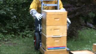 Apihelper Hive Lift  beekeeper adding a fourth frame to the beehive [upl. by Marlon849]