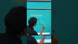 Phycomycetes example trick by Ranveer sir shorts [upl. by Eseila420]