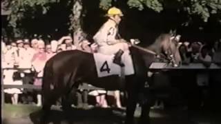 Bullet Train presents Horse of the Year Newsreel The Iron Horse [upl. by Buerger]