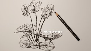 Drawing cyclamen flower with charcoal and pencil how to draw [upl. by Madel]