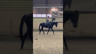 The horse s legs 💋 horse лошади equestrian Факел кскбедаялошадь [upl. by Jesselyn]