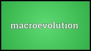 Macroevolution Meaning [upl. by Lehteb487]