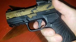 agency arms p320 trigger in axg module [upl. by Cicenia]