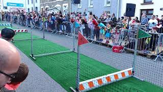 Pig Races at Hillfest in Watergrasshill [upl. by Vachel]