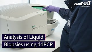 Analysis of Liquid Biopsies using ddPCR [upl. by Argus]