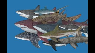 15 Largest Sharks that ever lived [upl. by Christie]