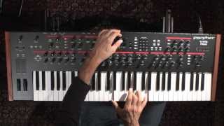 Prophet 12 Features Overview Dave Smith Instruments [upl. by Auop]