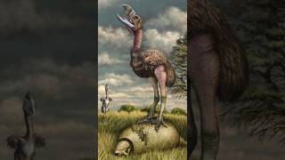 How terror birds were very dangerous 🤯 shorts facts [upl. by Leatri]