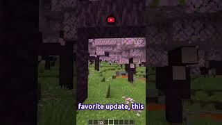 The BEST Minecraft Update [upl. by Rausch]