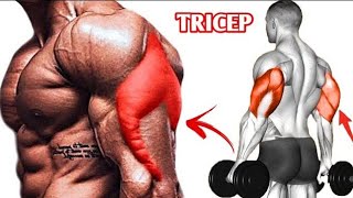 Bigger Tricep Warkout At Gym [upl. by Meta]