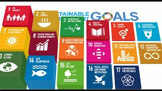 Priorities for the implementation of the 2030 Agenda [upl. by Chapman]