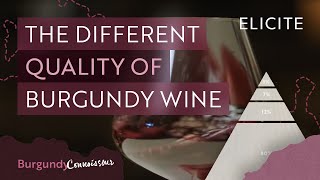 How To Tell The Quality Of A Burgundy Wine [upl. by Hanleigh447]