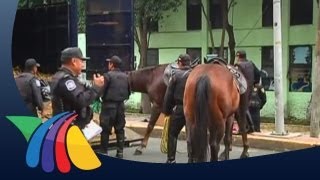 Caballos desbocados en el DF 11 autos dañados [upl. by Annayk]