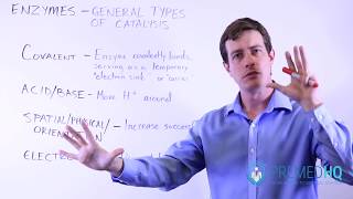 Types of Catalysis [upl. by Ajnotal]