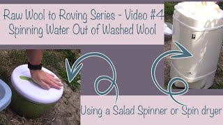 Raw Wool to Roving 4 How I spin water out of washed wool  Journey from salad spinner to spin dryer [upl. by Yusem]