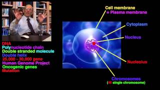 Xeroderma pigmentosum amp Skin Colour Ep15 [upl. by Saxena948]