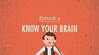 Meet Your Master  Getting to Know Your Brain Crash Course Psychology 4 [upl. by Enirehtac]