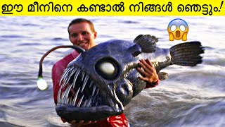 Fish You Won’t Believe Actually Exist   Malayalam [upl. by Adnamal]