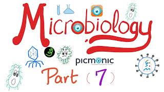 Microbiology Gram   Hemophilus Bordetella Pasturella Brucella Francisella Picmonic Part 7 [upl. by Nerual862]