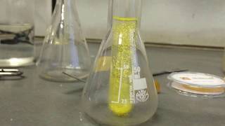 Chemical experiment Precipitation PbI2 Golden rain [upl. by Suirtimed632]