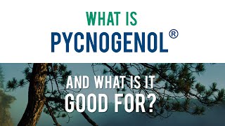 Pycnogenol® General Animated Infographic [upl. by Ball]