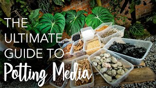 PART 1 ULTIMATE GUIDE to Potting Media 13 types  Perlite vs Pumice Cocopeat vs Peat Moss amp more [upl. by Aitsirt]