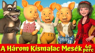 A Három Kismalac És A Farkas 🐷🐺🔴I Nati Mesék I Magyar Tündérmesék [upl. by Annayr]