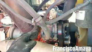 Freightliner cascadia AC compressor clutch no working positive and negative power check details [upl. by Ranilopa]