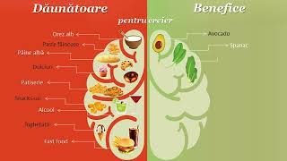 Alimente pentru creier [upl. by Attiuqehs]