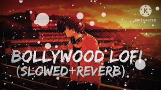 New BOLLYWOOD SONG LOFI MUSIC SLOWEDREVERB  NEW Song 2024 [upl. by Nolyd]