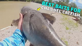 How To Catch Channel Catfish Best Baits [upl. by Laughlin]